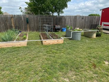 Backyard vegetable garden with raised beds and irrigation system.