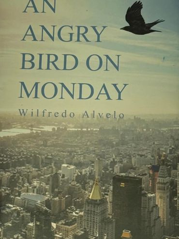 You can purchase this book at Amazon
$10