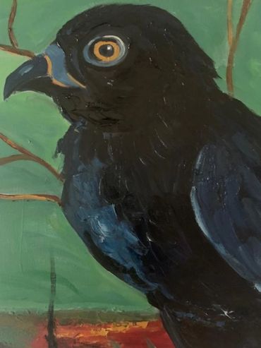 The Birds is one of my favorites Alfred Hitchcock's films. I have many of them in my backyard