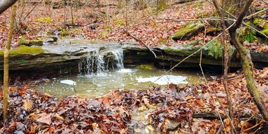 Trolls Gorge - hiking and climbing at Sage Mountain