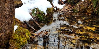 Natural Spring - hiking and climbing at Sage Mountain