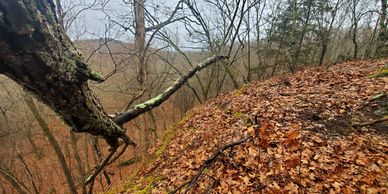 Watchmen's Cliff - hiking and climbing at Sage Mountain. Get married here!