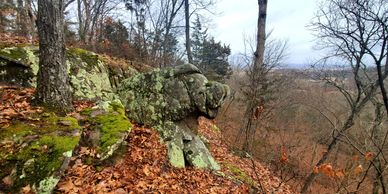 Dog Rock - hiking and climbing at Sage Mountain