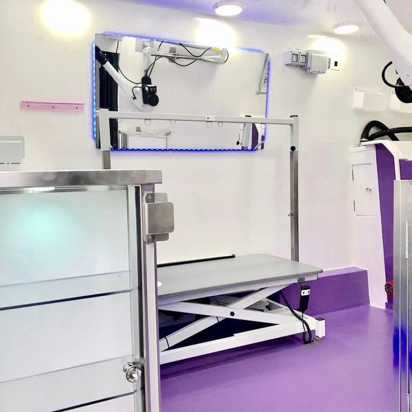 Modern veterinary clinic with purple flooring and examination table.