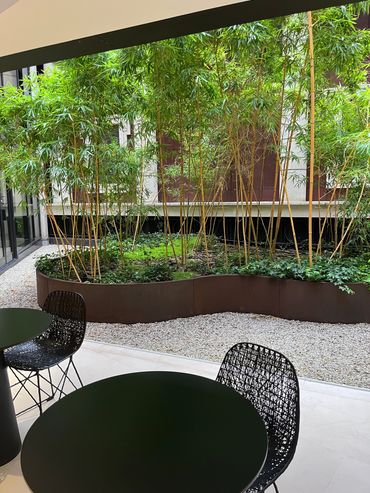 Bamboo and green plants in a large planter inside offices
