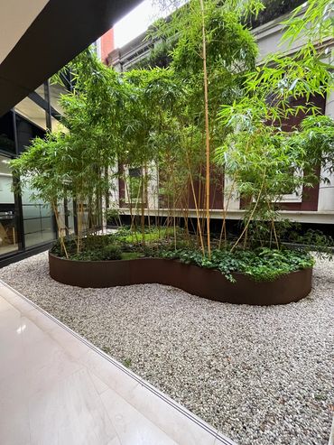 Bamboo, ivy and various green plants in a large planter inside office building