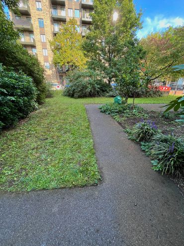 Freshly trimmed large green grass area next to a grey concrete pathway surrounded by various bushes