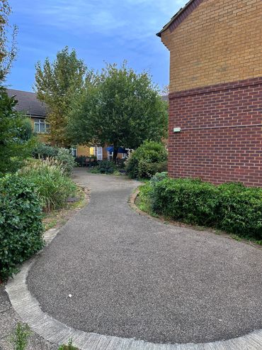 Grey round concrete pathway surrounded by various green bushes and tree next to a yellow brick house