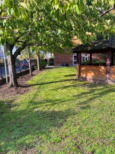 Large freshly trimmed green grass area inside building complex with tree line and fence on one side