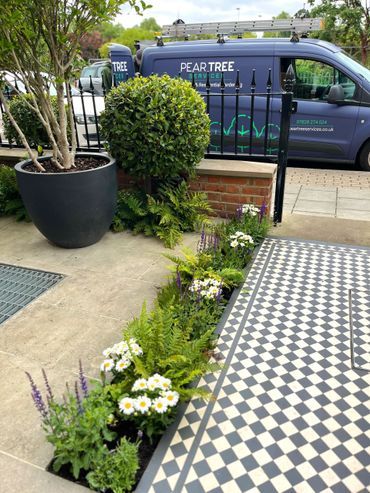 Front garden with plants and large pot with multi stem tree
