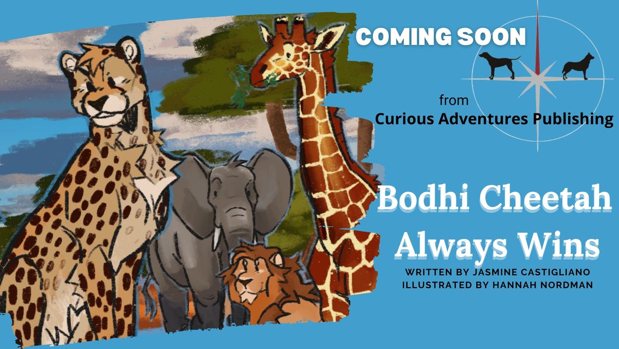 Coming Soon from Curious Adventures Publishing: Bodhi Cheetah Always Wins 