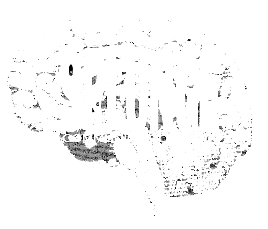 Splunge Communications, Inc logo