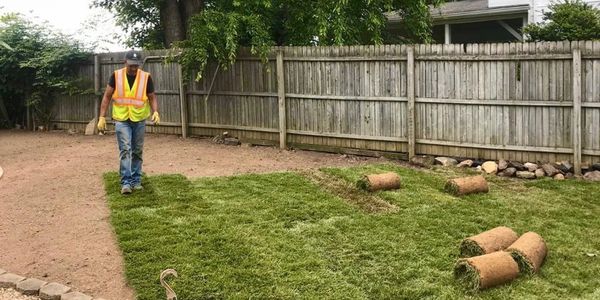 new grass, new lawn, lawn care, lawn services, lawn mowing