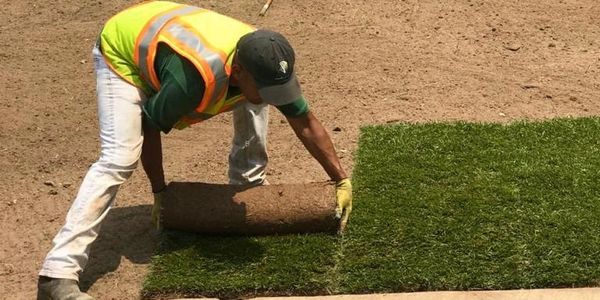 new lawn, lawn care, landscaping services