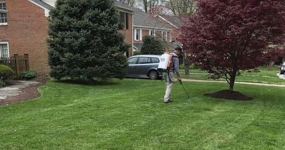 lawn care, lawn mowing, lawn services