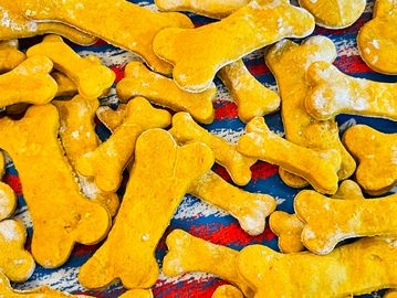 Pumpkin treats all year round! Pumpkin is a superfood for dogs - contains micronutrients, fiber, and