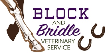 Block and Bridle Veterinary Services
