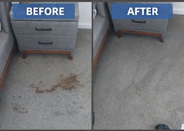 Carpet steam cleaning Bayswater