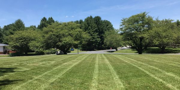 Fresh cut lawn in a strip pattern of commercial property