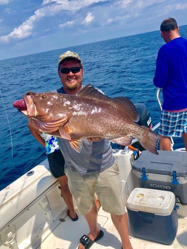 Big red grouper fishing Fort Myers Bluewater Offshore Charters 
