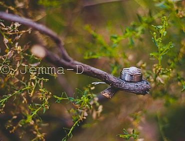 Arizona Photographer detail wedding ring shot