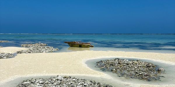 Rustic boat on clear shallow waters near sandy beach with oyster beds.