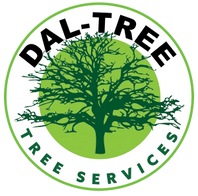 Dal-tree Service