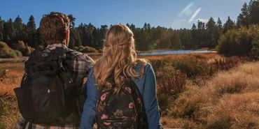 Fall in Love when you Fall in L.A.