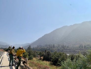 San Bernadino National Forest