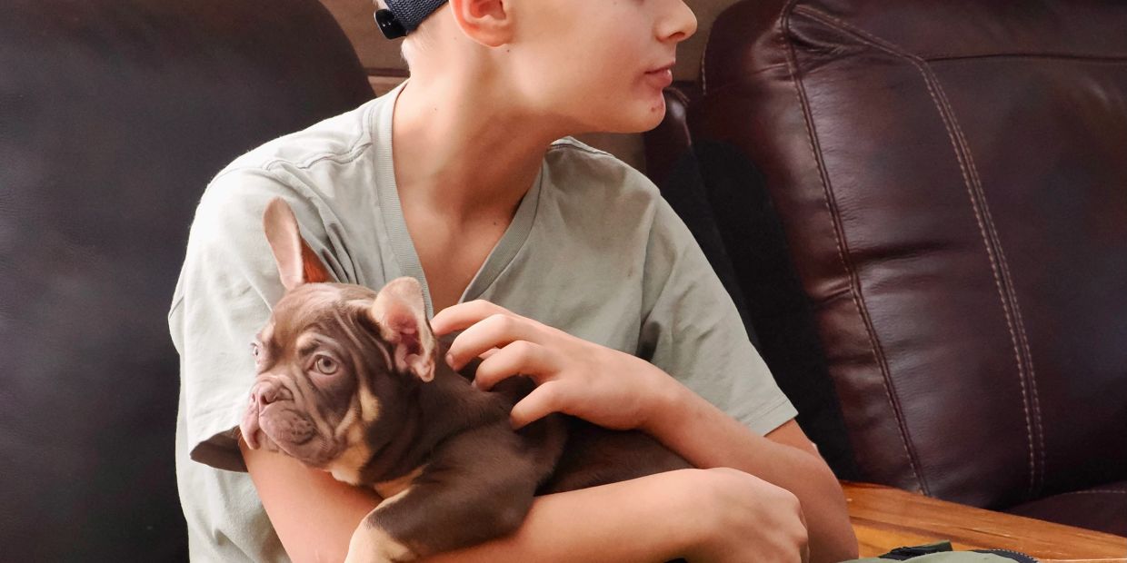 A boy holding a French Bulldog puppy.