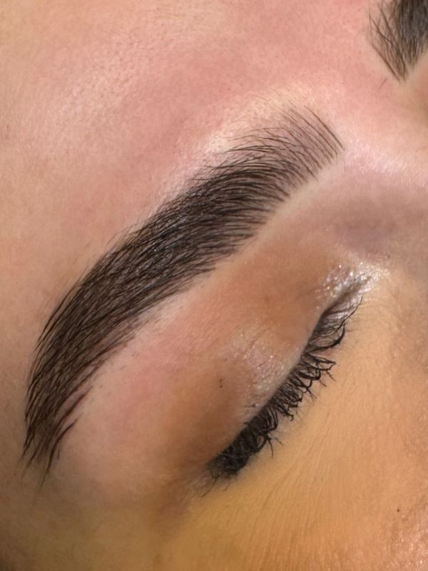 NATURAL BROWS IN HINSDALE, BROW LAMINATION IN HINSDALE, BROW WAX AND TINT NEAR ME, BROWS IN HINSDALE