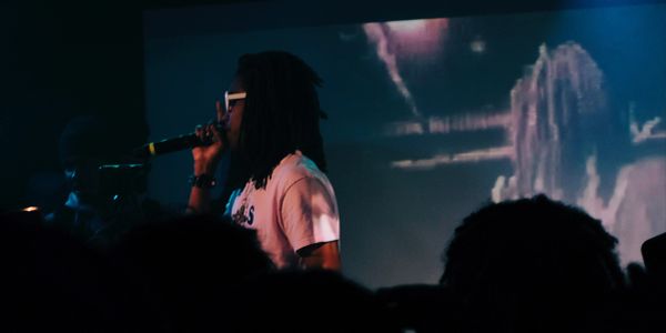 Musician with dreadlocks rapping into microphone on stage with crowd in foreground.