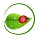 Ladybug Balanced Health LLC