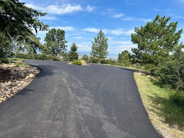 A road surrounded by trees