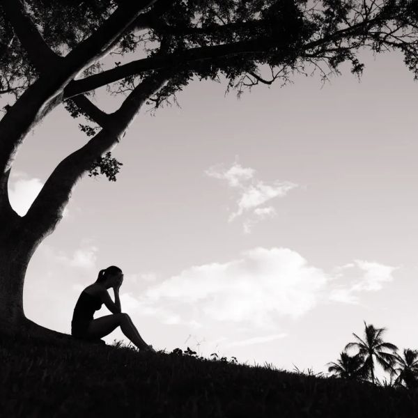 A silhouette of a person sitting under a large tree, appearing contemplative or sad.