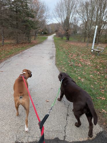 Brewster Trail, Hespeler