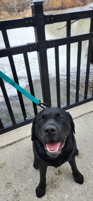 Jacob's Landing, Hespeler Village