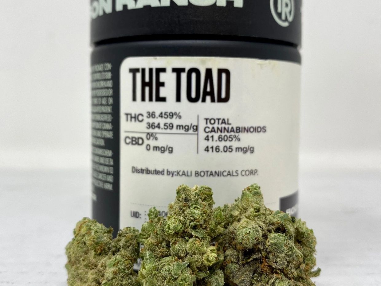 The Toad Strain