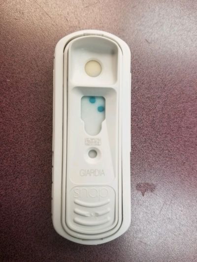 Positive Giardia Test