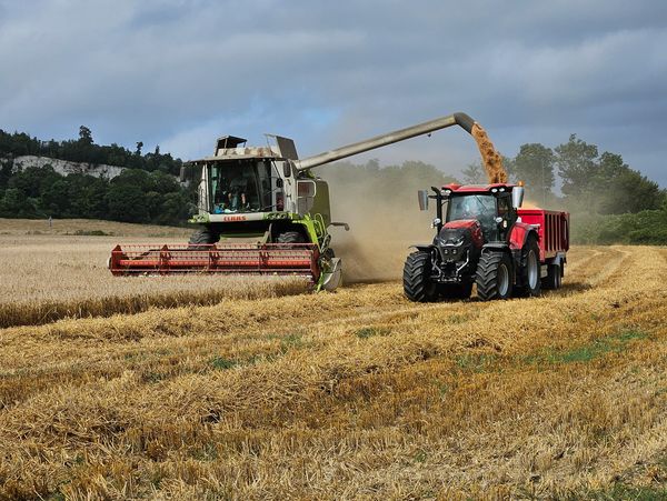 Combine harvester transferring grain to tractor trailer.