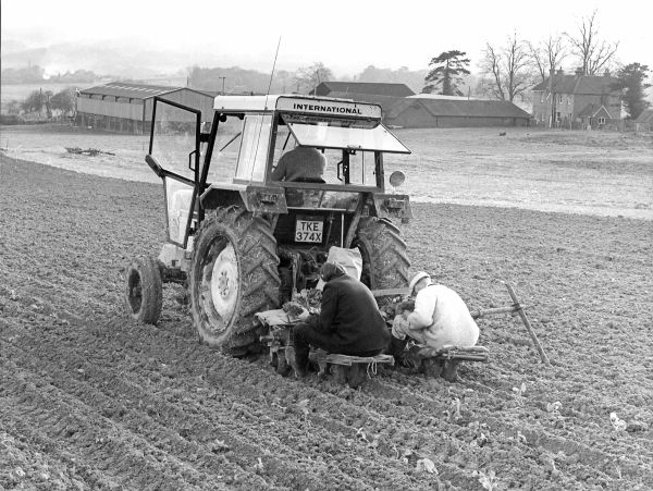 Tractor working on a farm with two workers sitting behind.