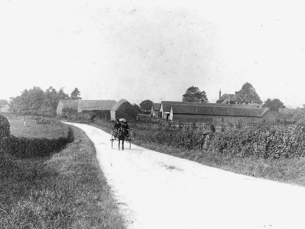 Old black-and-white photo of a horse-drawn carriage on a country road.