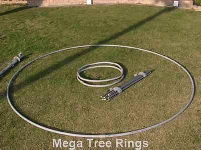 Mega Tree Rings