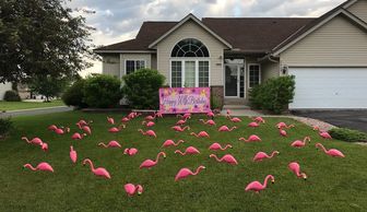 #pinkflamingo #yardsigns #yardcard #lawngreeting #lawndecoration #flamingos #birthdaysigns #birthday