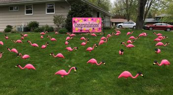 #graduation #flamingo #lawngreeting #yardcard #lawnsigns #yardsigns #graduationparty #yarddecoration