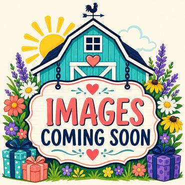 Turquoise barn with colorful flowers with words image coming soon