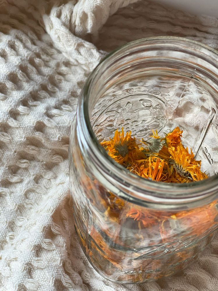 homegrown organic dried calendula