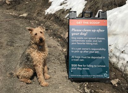 dog friendly trails aspen