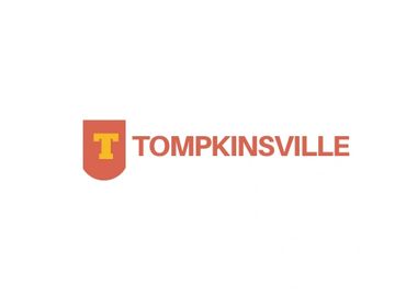 tompkinsville town in newyork domainplace domain place .place place domainplace.com