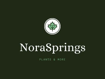 nora springs town in iowa domainplace domain place .place place domainplace.com